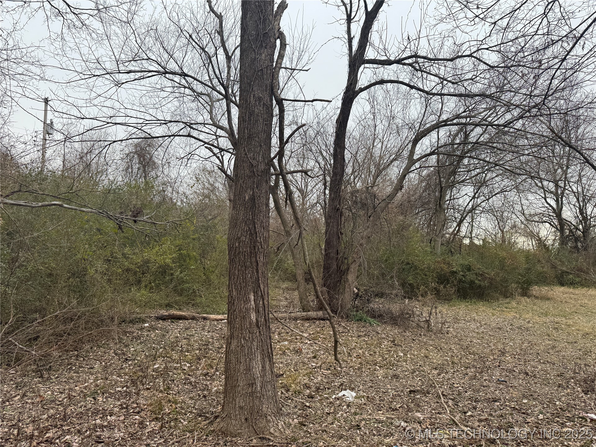 901 Indianapolis Avenue Property Photo 2