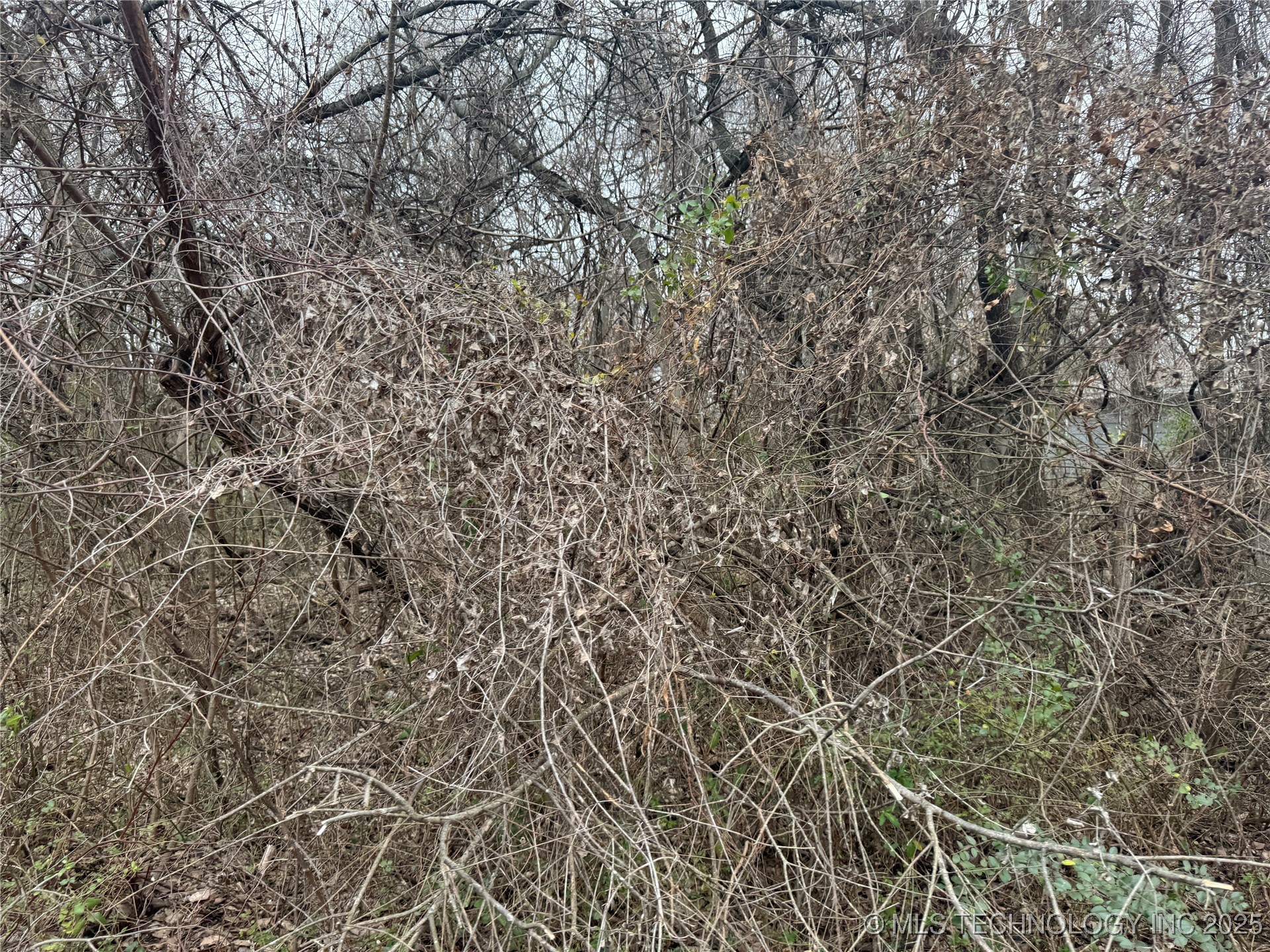 1697 N 20th Street Property Photo 1