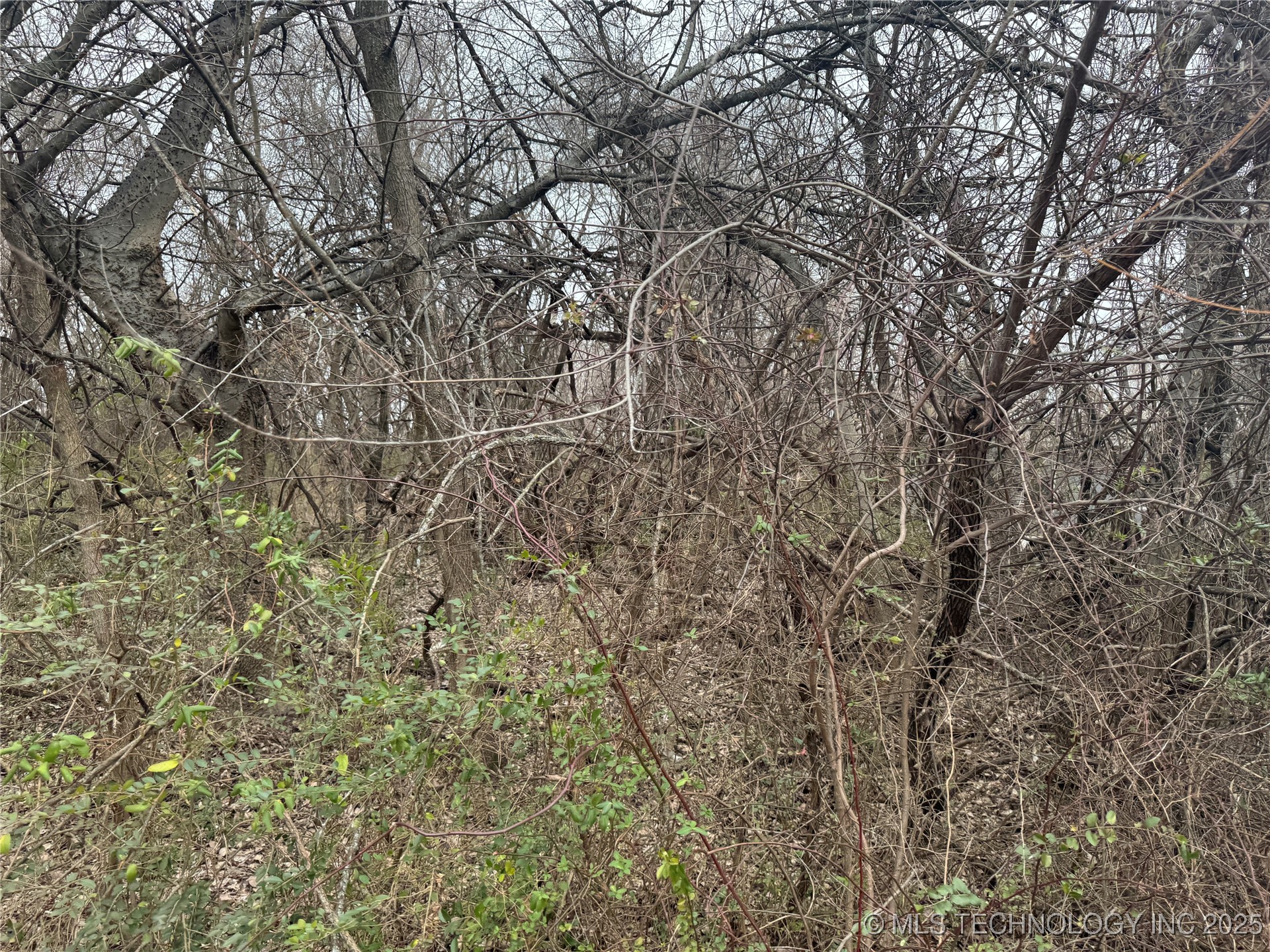 1697 N 20th Street Property Photo 2