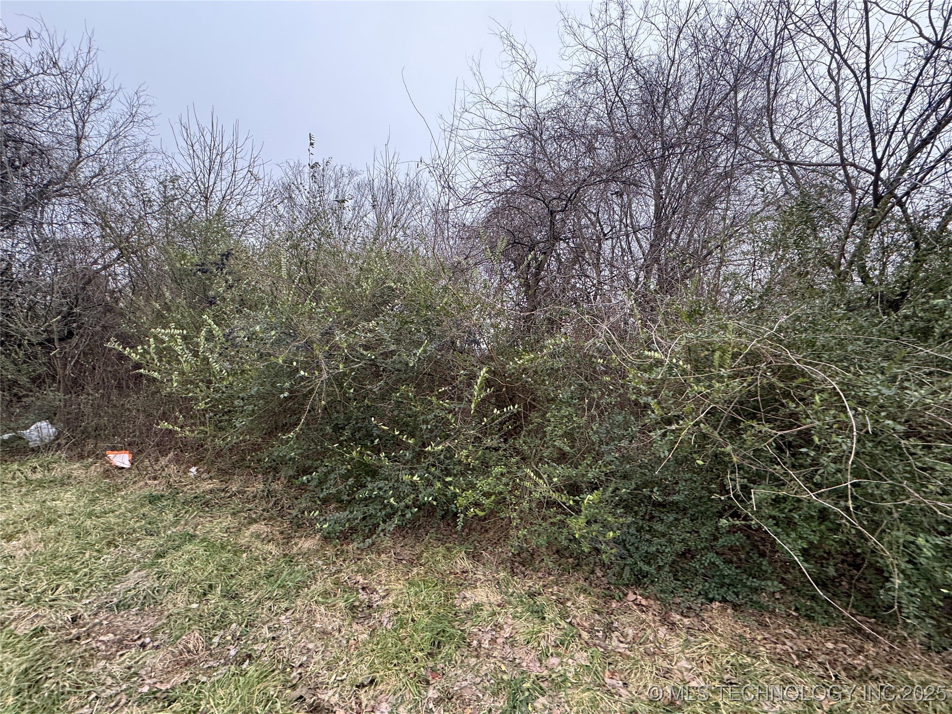 1699 N 20th Street Property Photo 1