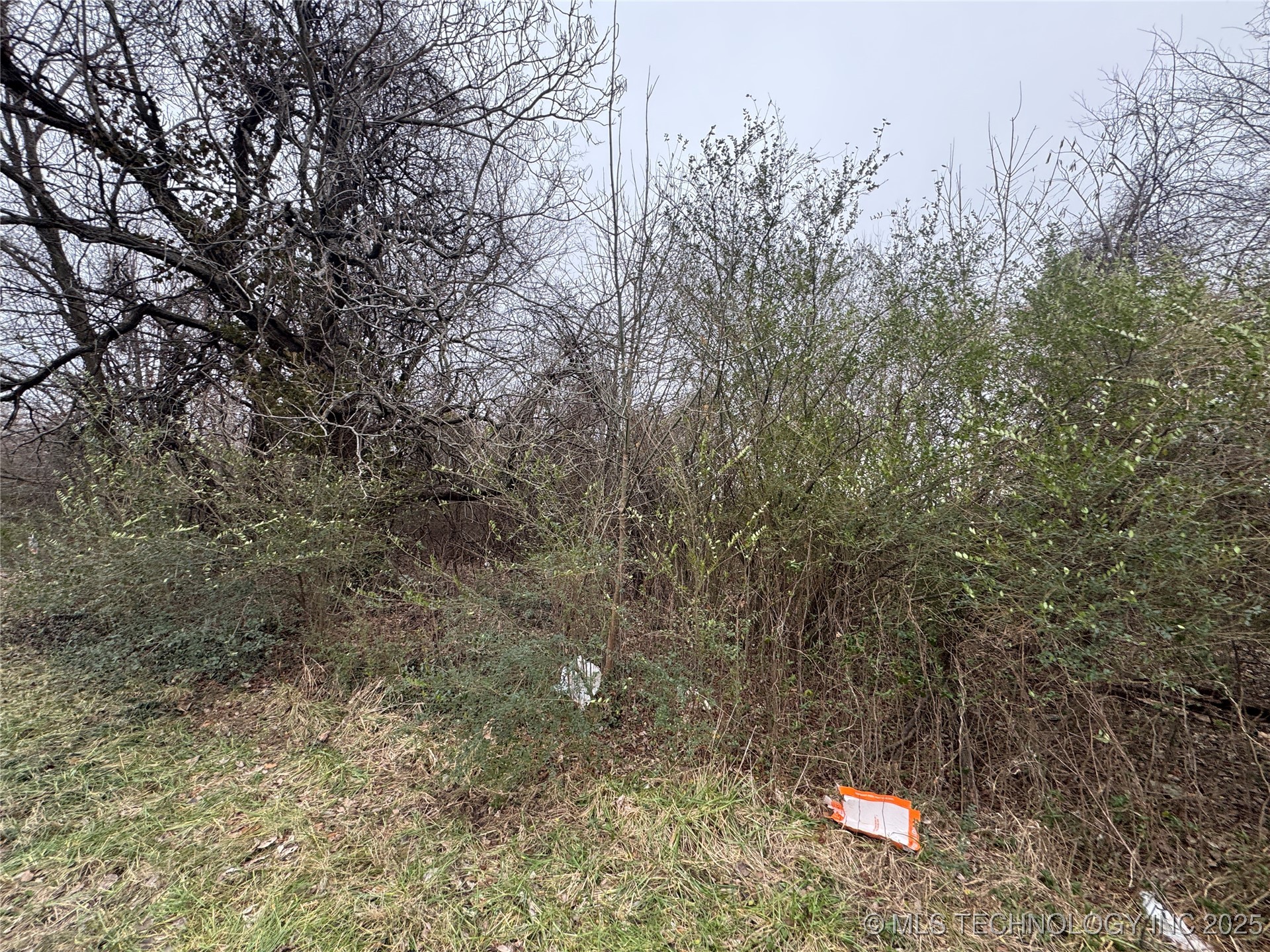 1699 N 20th Street Property Photo 2