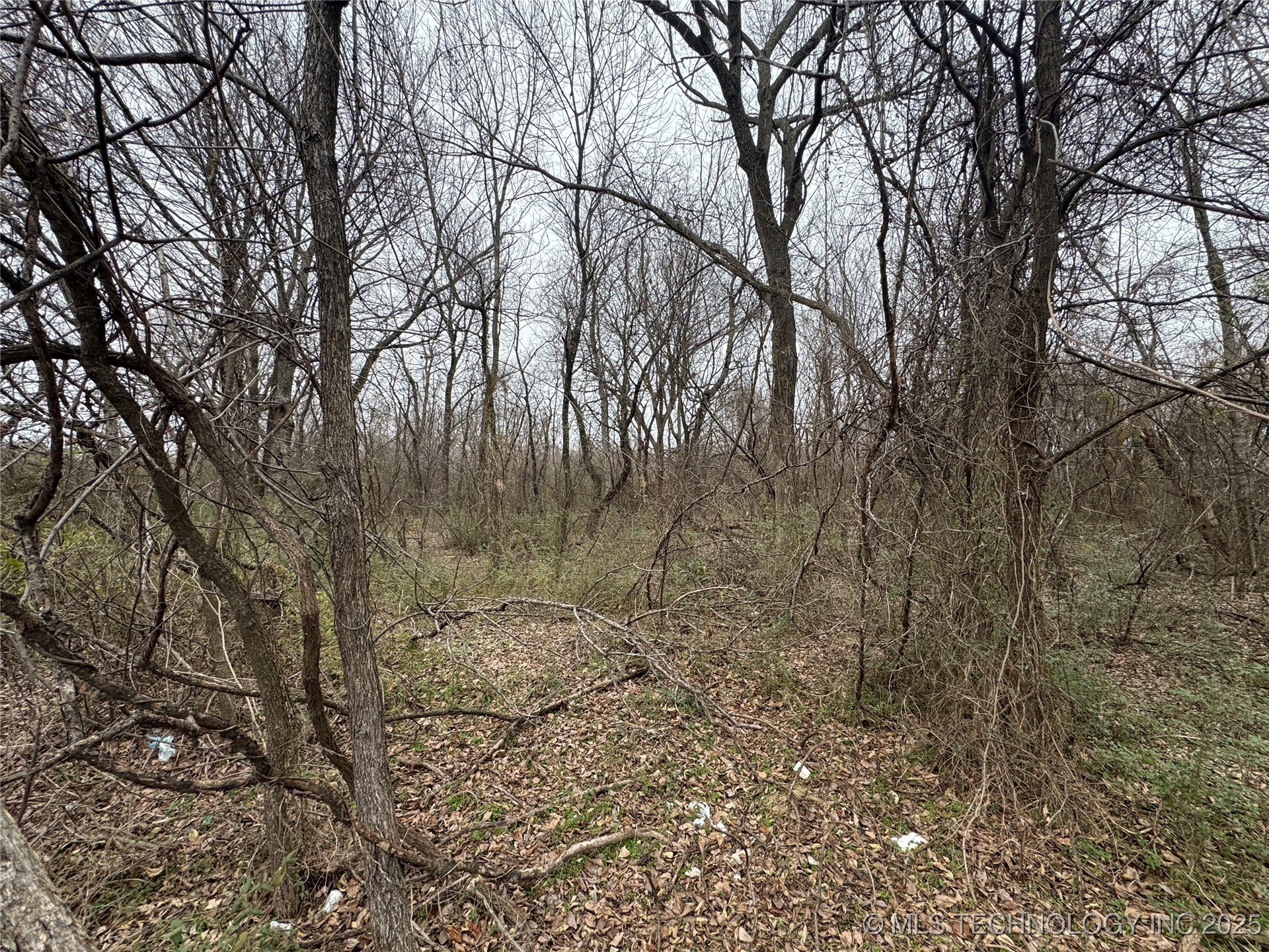 2280 Washington Avenue Property Photo 2