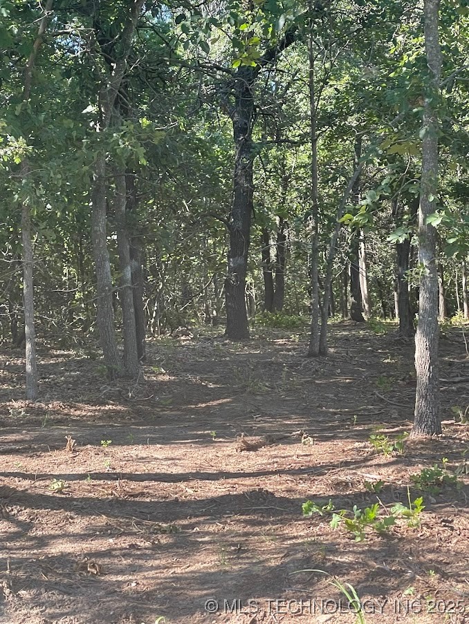 Fox Road Property Photo 4