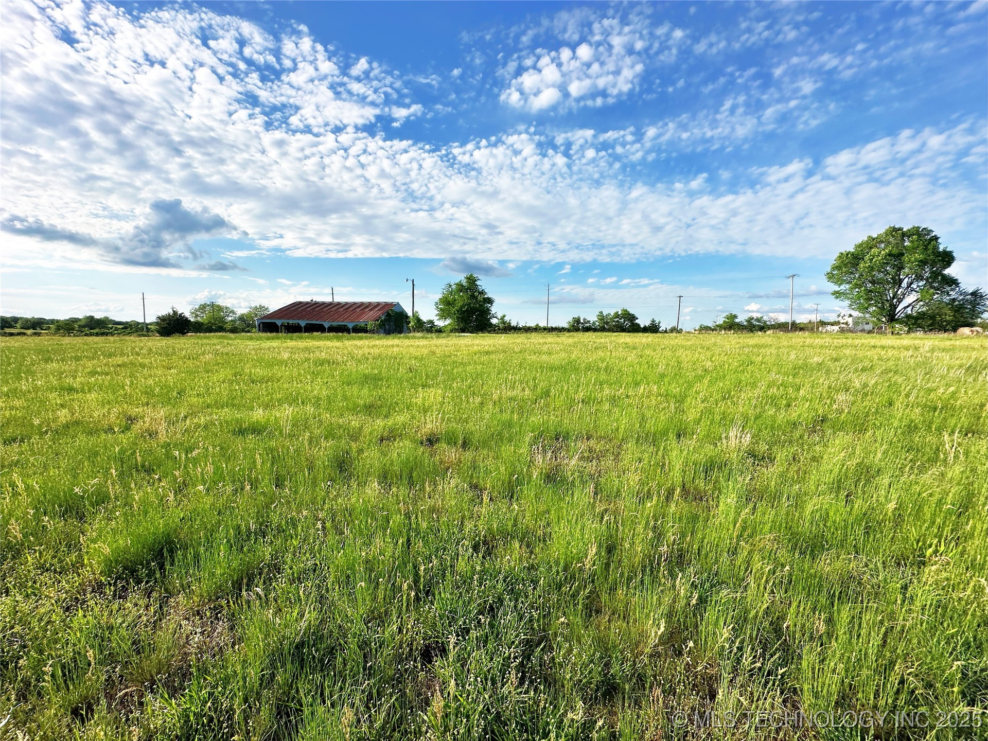Coon Creek Road Property Photo 5