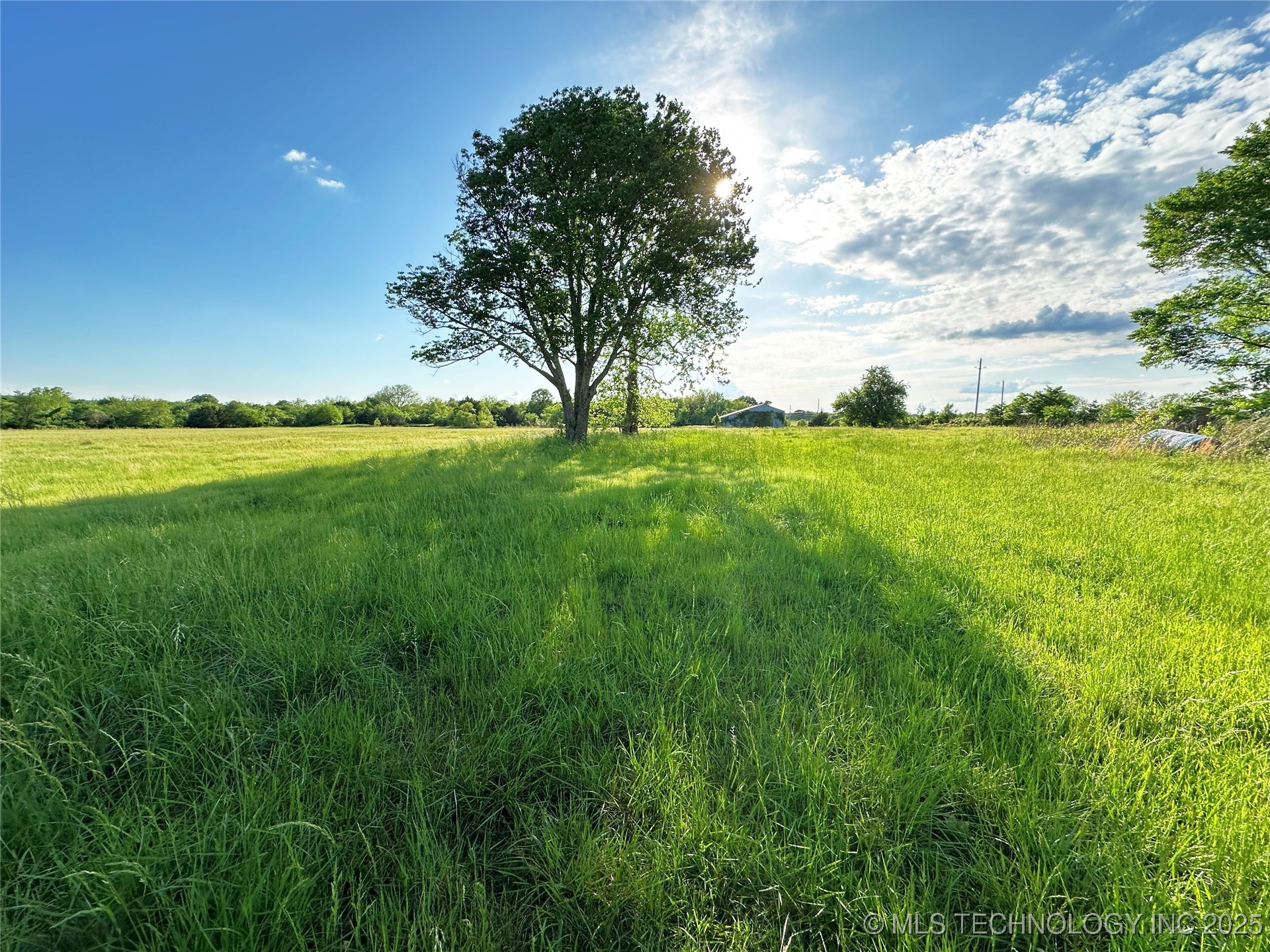 Coon Creek Road Property Photo 7