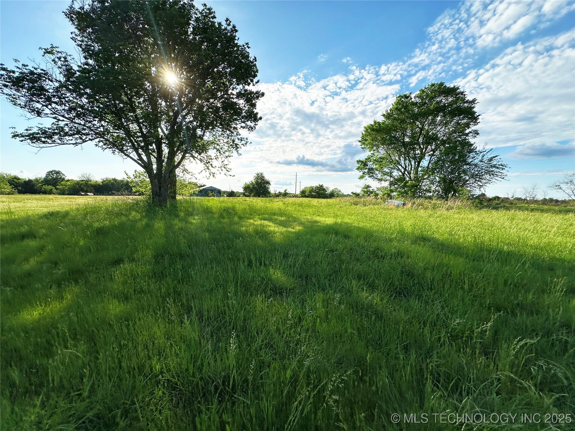Coon Creek Road Property Photo 8