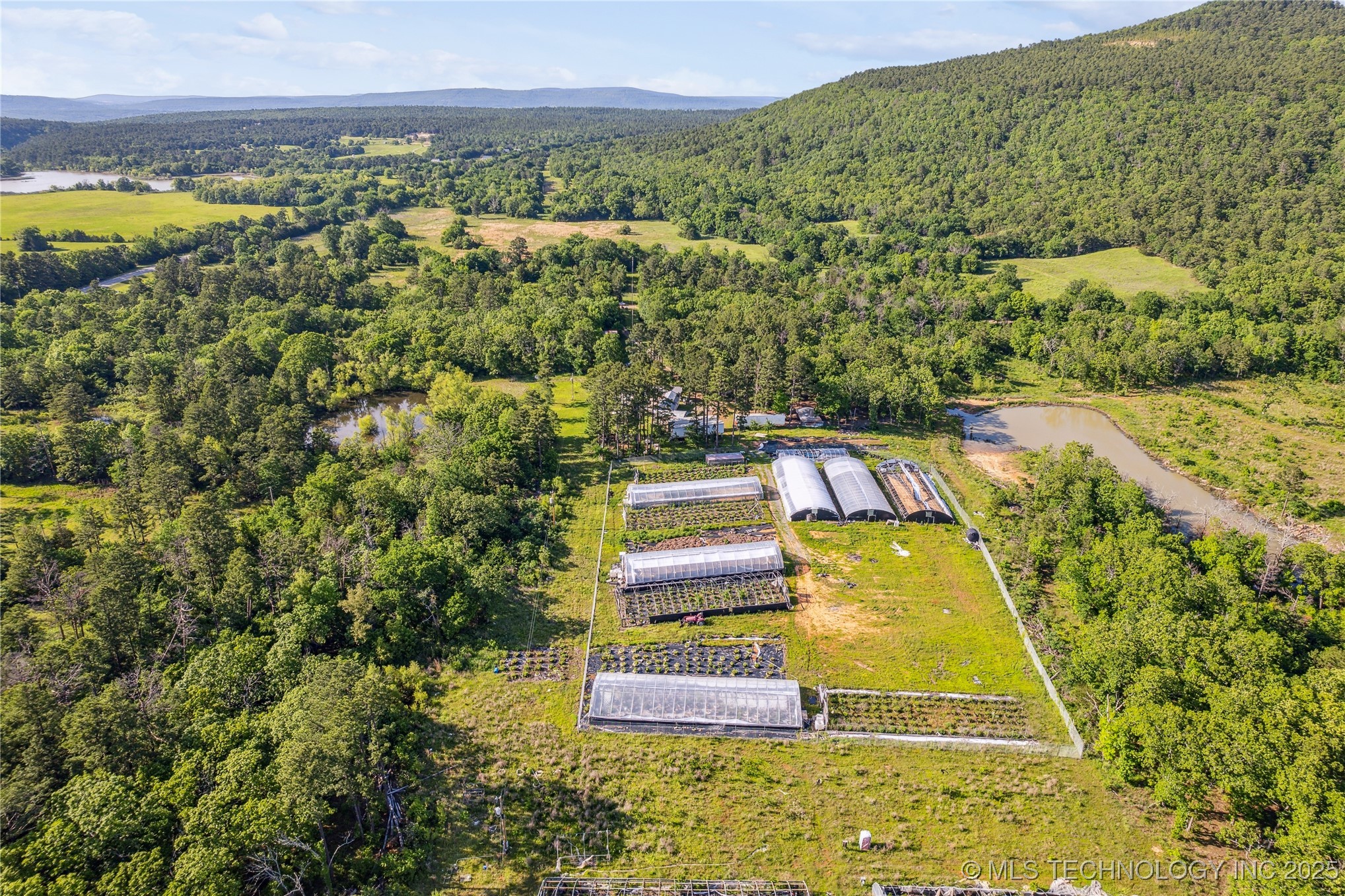 31384 W Tucker Knob Road Property Photo 6