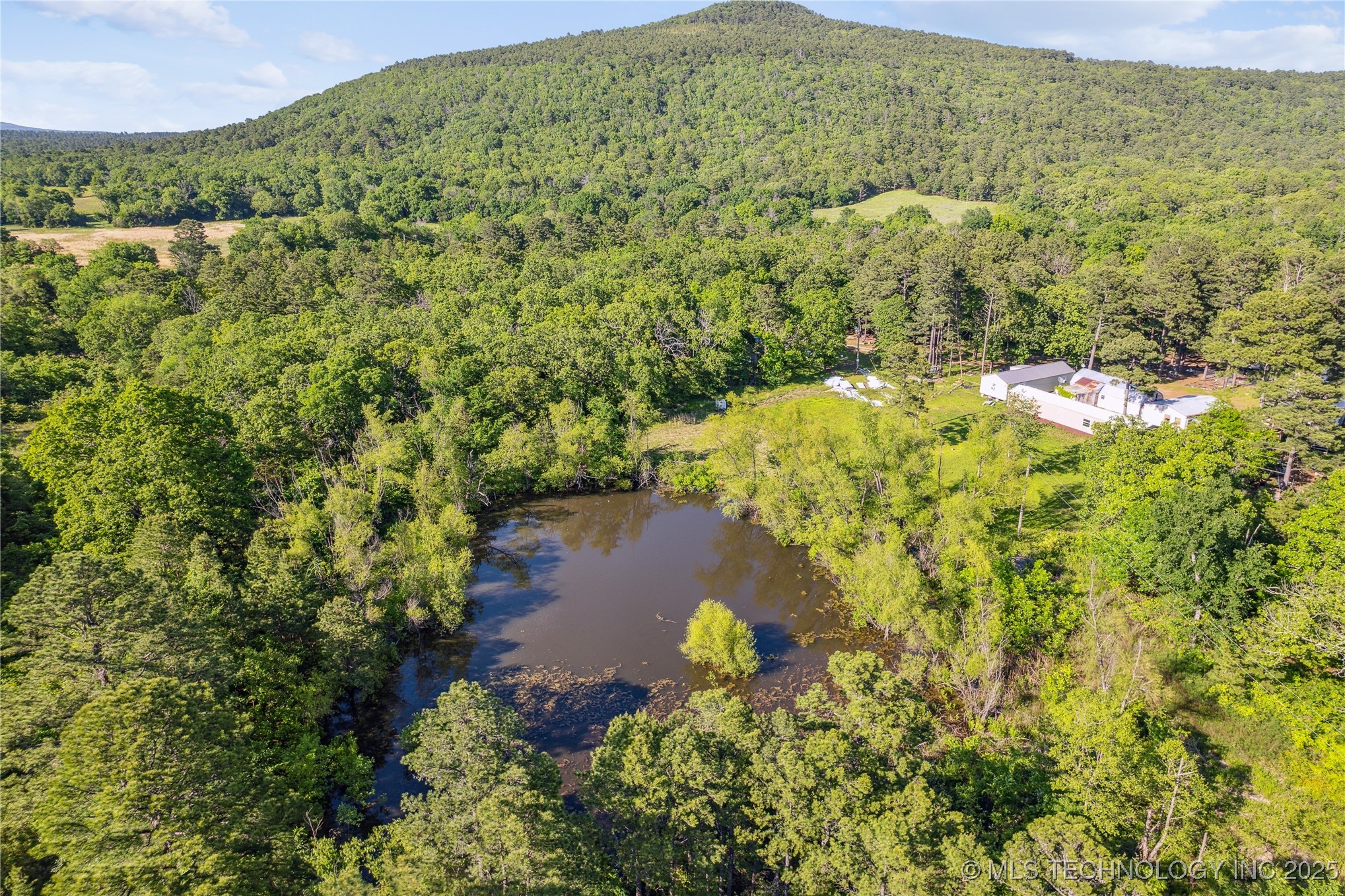 31384 W Tucker Knob Road Property Photo 8