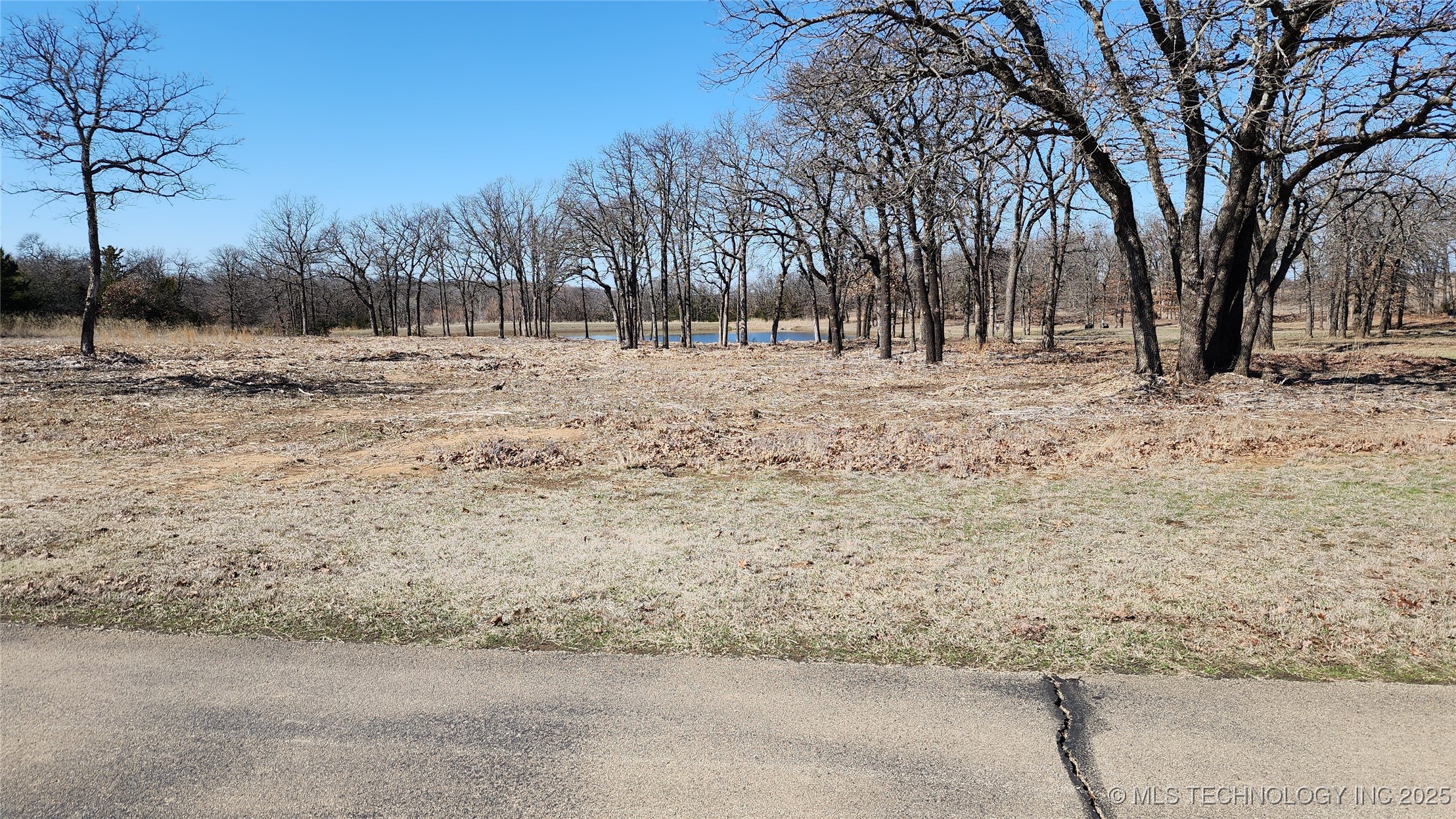 50459 N Lakeview Street Property Photo 5