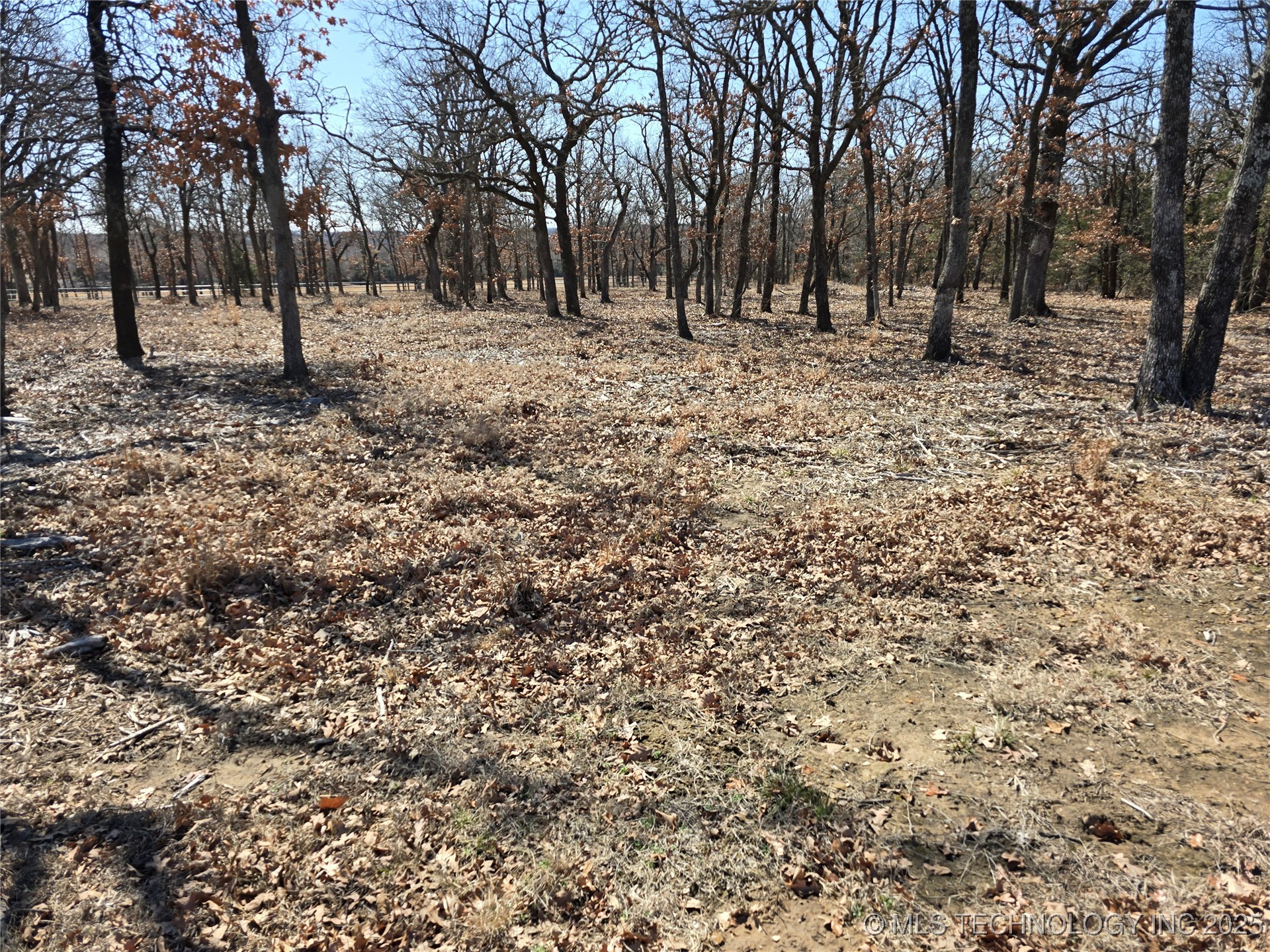 348646 E Parkside Street Property Photo 2