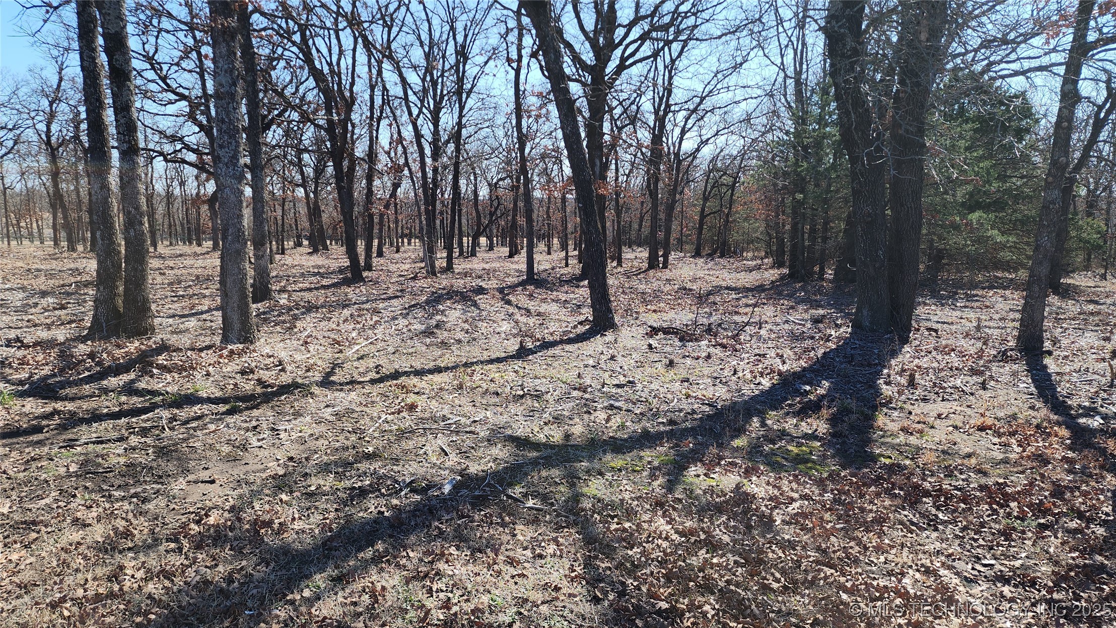 348646 E Parkside Street Property Photo 3