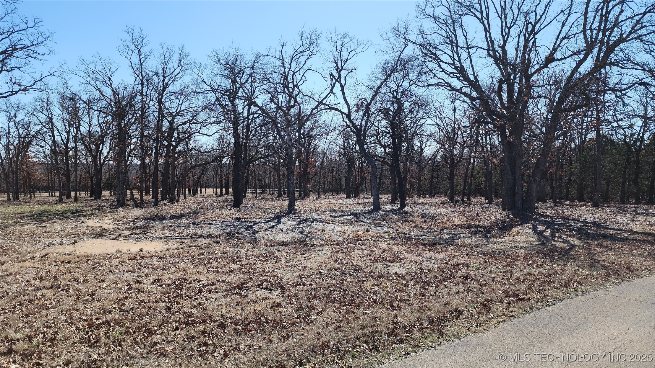 348646 E Parkside Street Property Photo 4