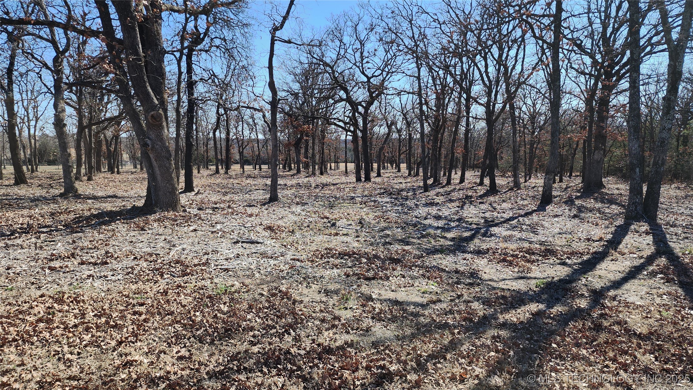 348646 E Parkside Street Property Photo 5