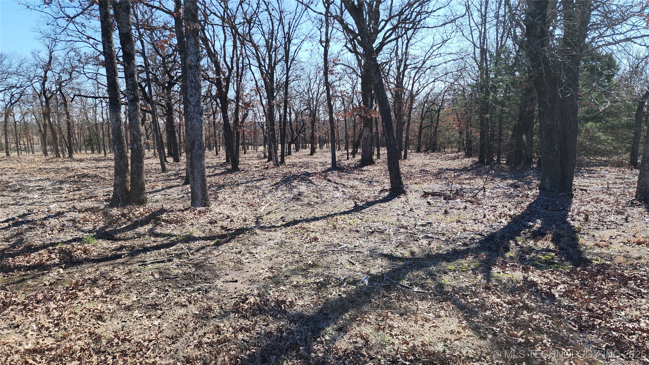 348646 E Parkside Street Property Photo 6