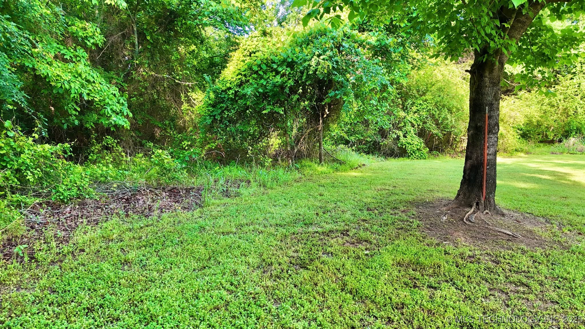 S Bk 500 Road Property Photo 6