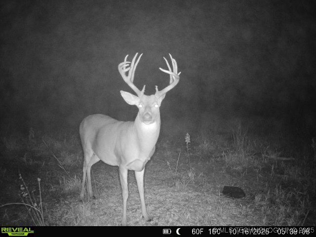 7 Se Lenapah Street Property Photo 3