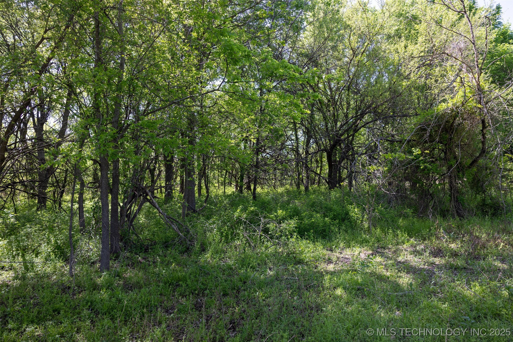 7 Se Lenapah Street Property Photo 14