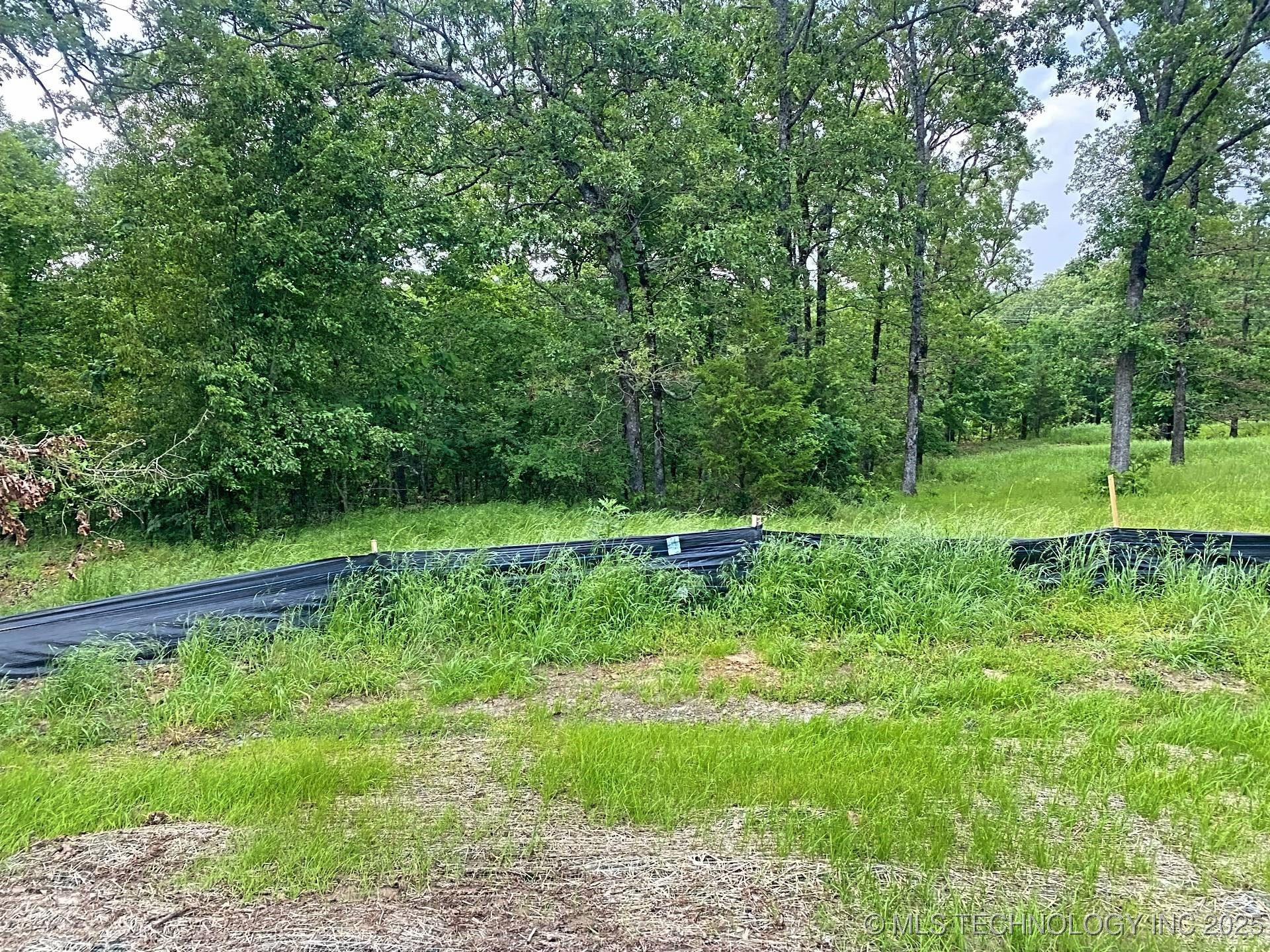 831 Winsor Place Property Photo 8