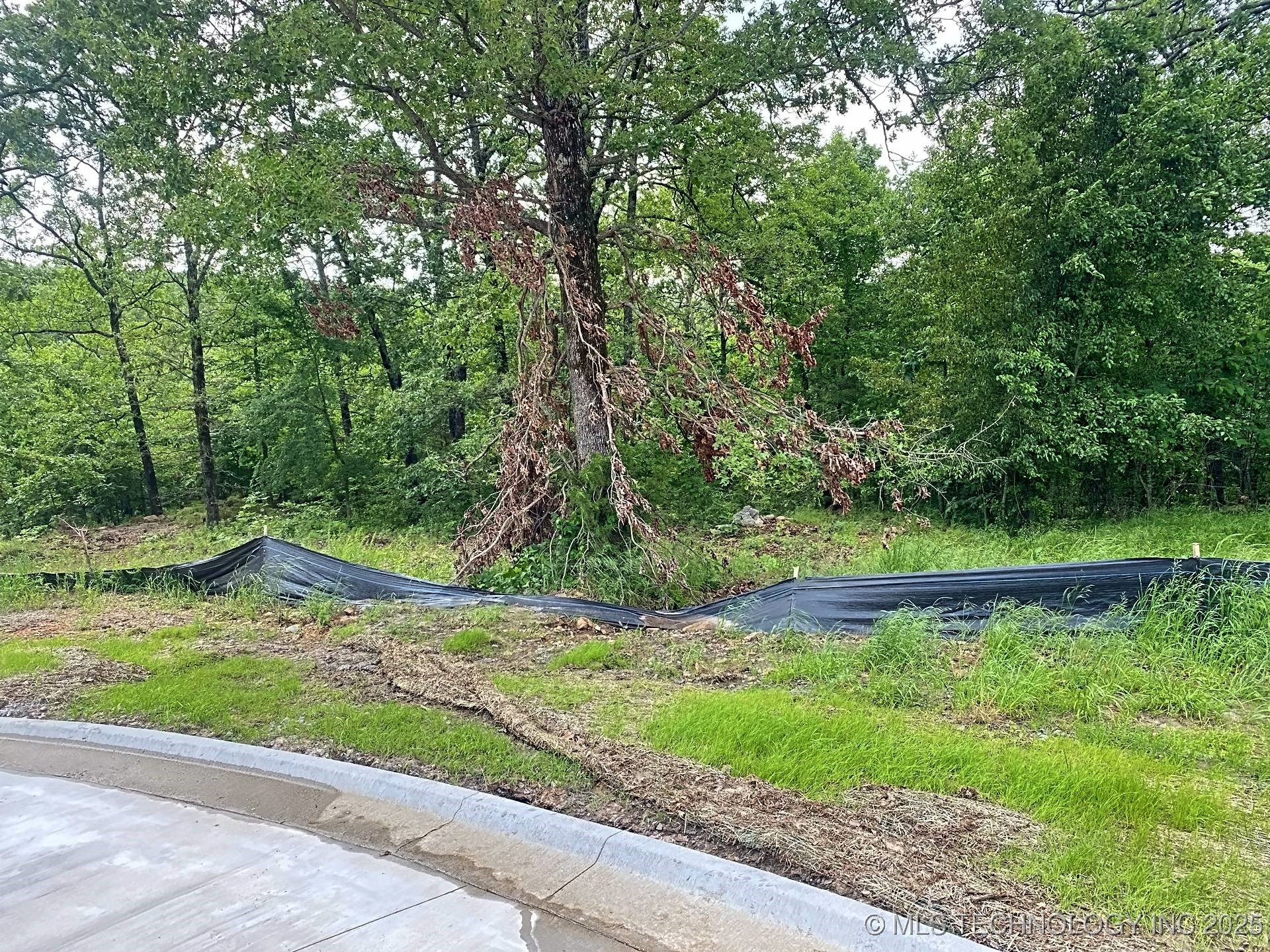 831 Winsor Place Property Photo 9