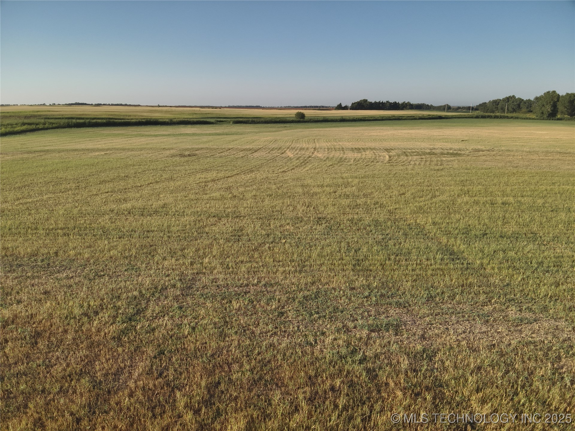 Prospect Avenue Property Photo 8