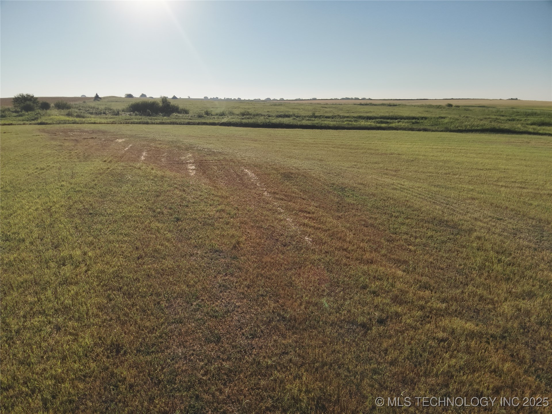 Prospect Avenue Property Photo 10