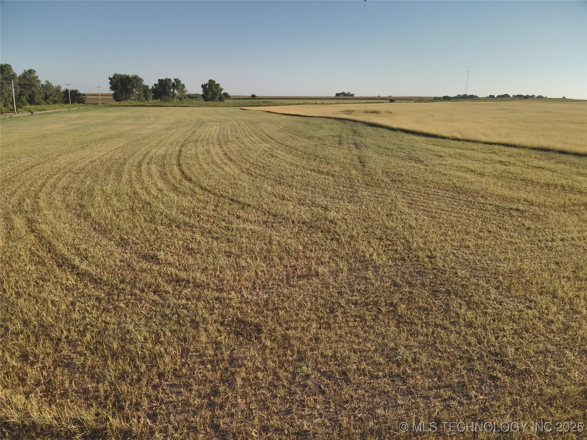 Prospect Avenue Property Photo 11