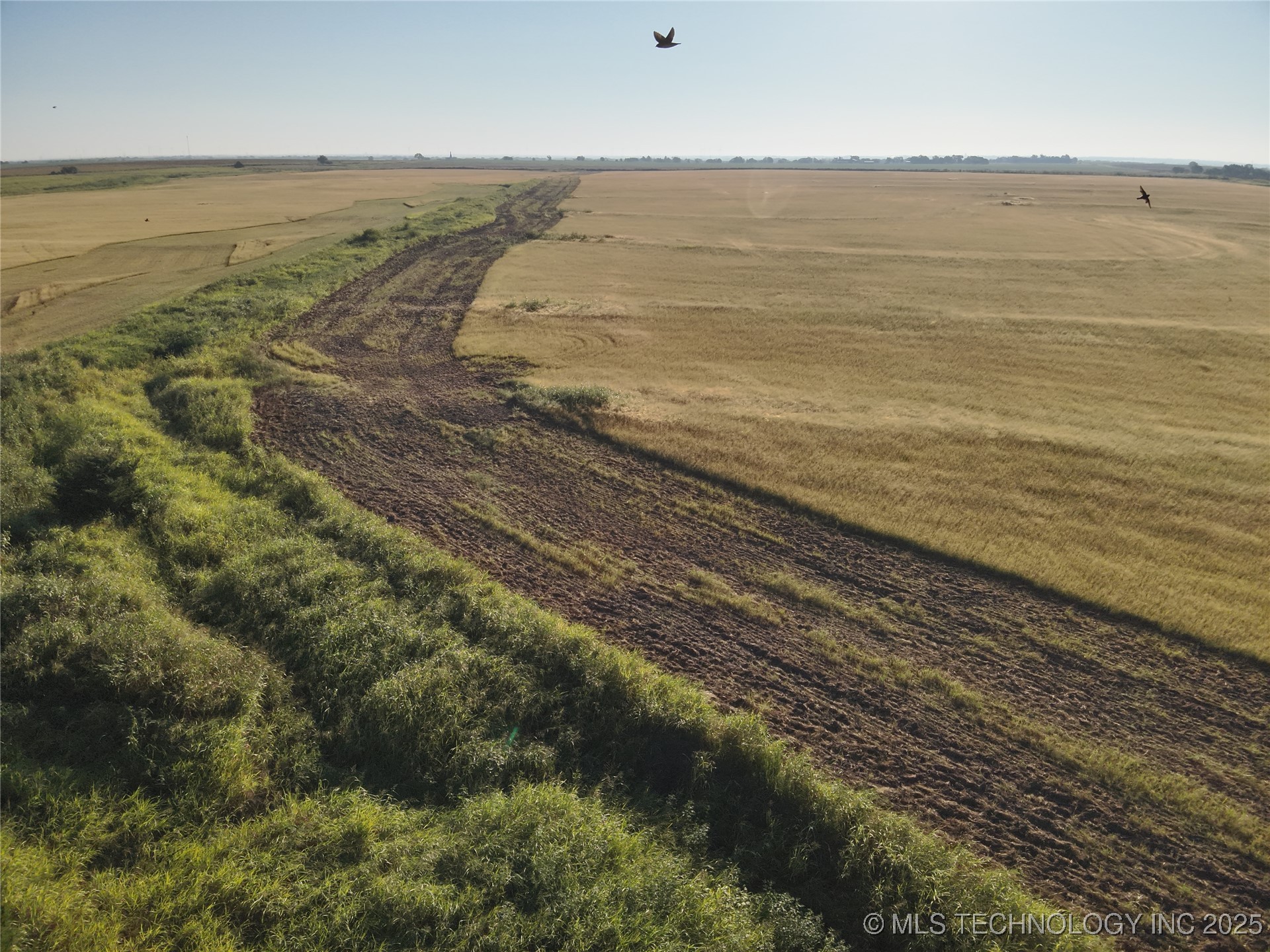 Prospect Avenue Property Photo 14