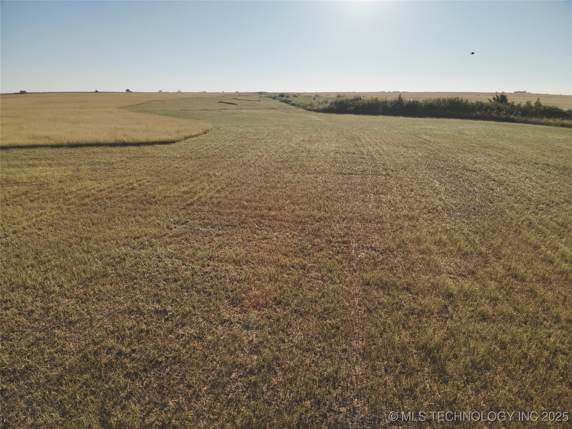 Prospect Avenue Property Photo 19