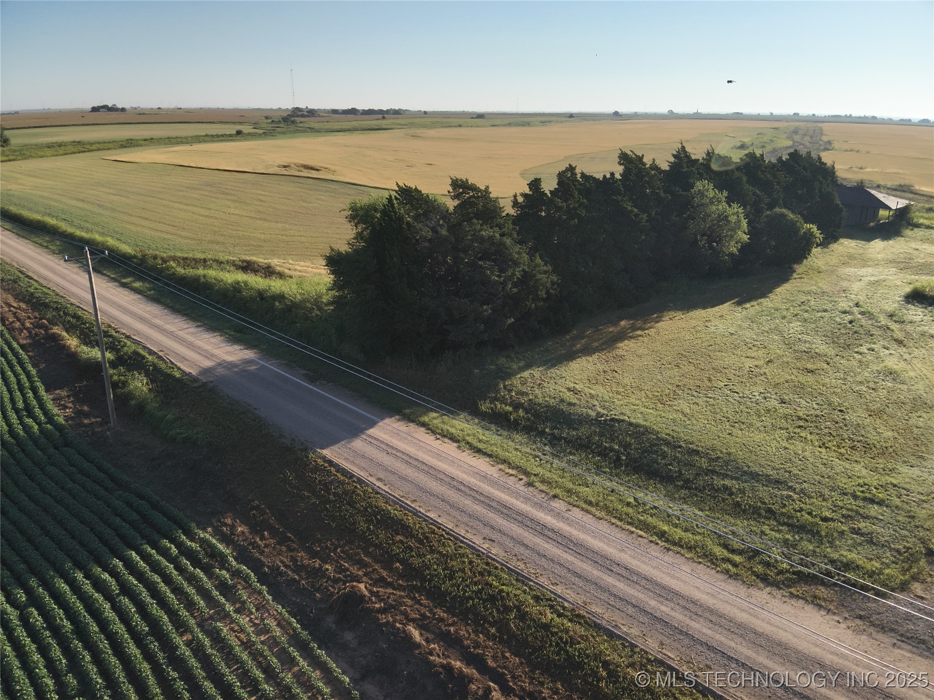 Prospect Avenue Property Photo 28