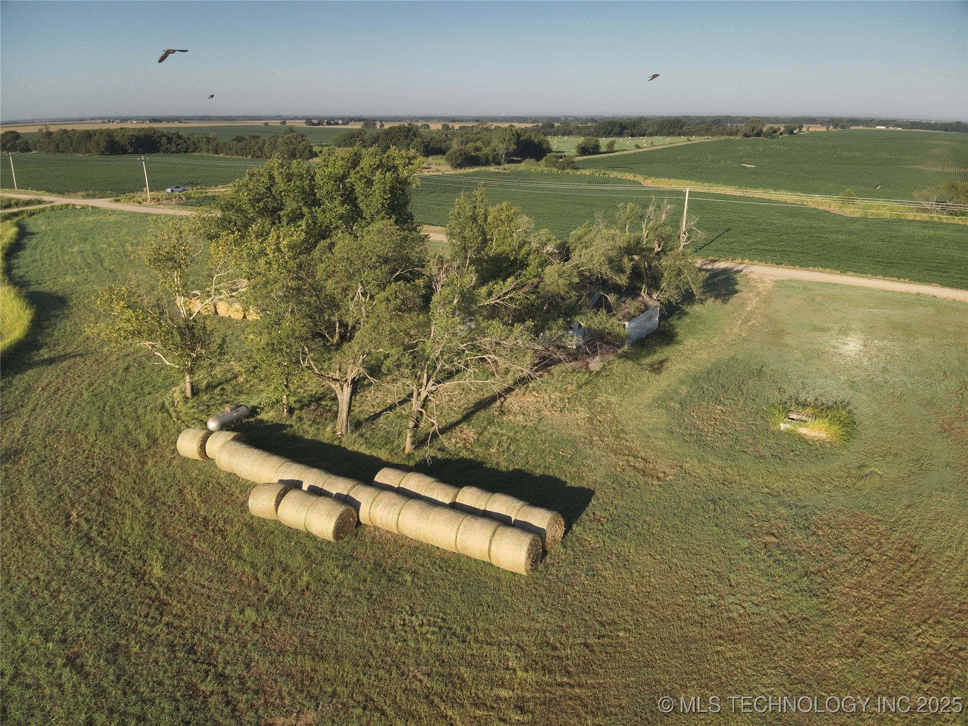 Prospect Avenue Property Photo 31