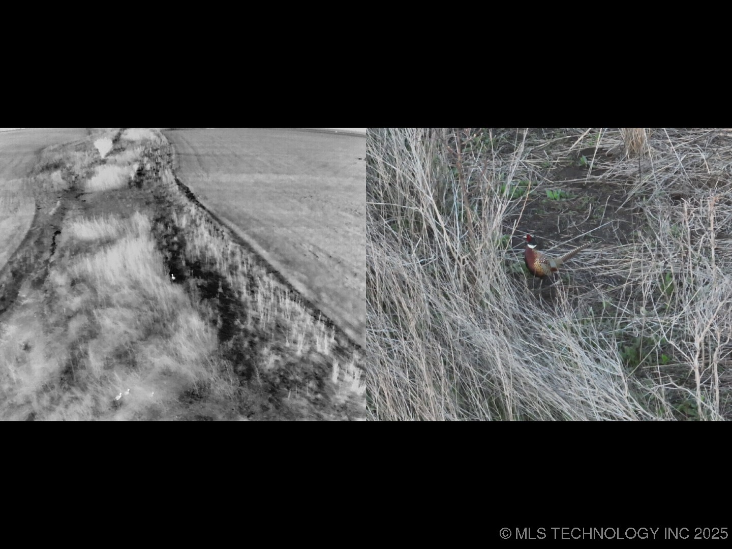 Prospect Avenue Property Photo 41