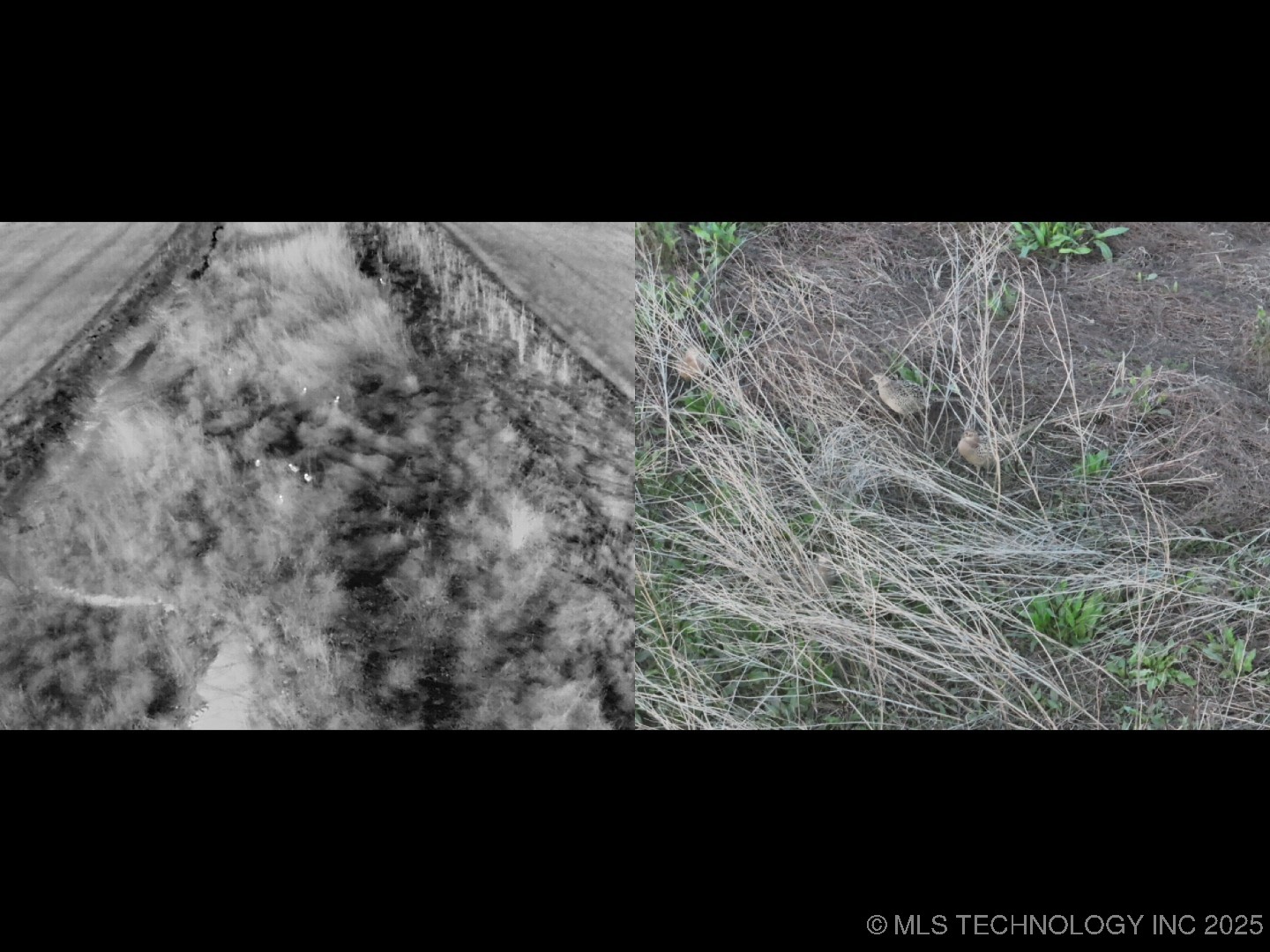 Prospect Avenue Property Photo 42