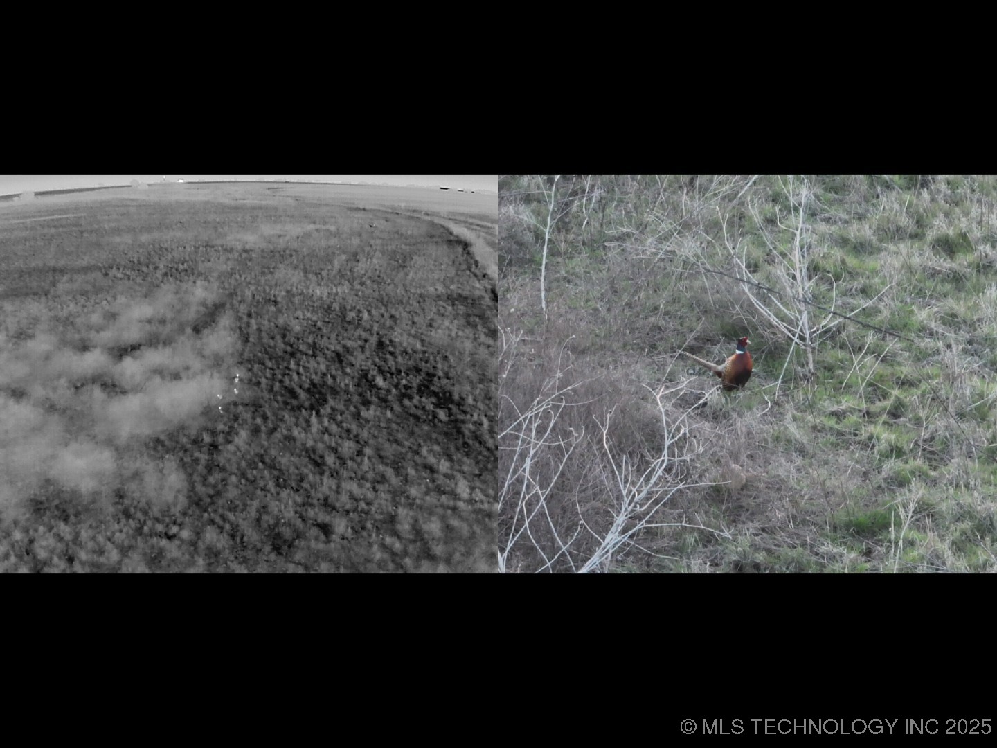 Prospect Avenue Property Photo 43