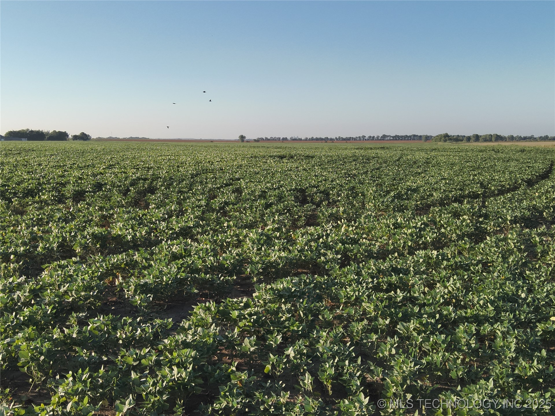 Prospect Property Photo 4