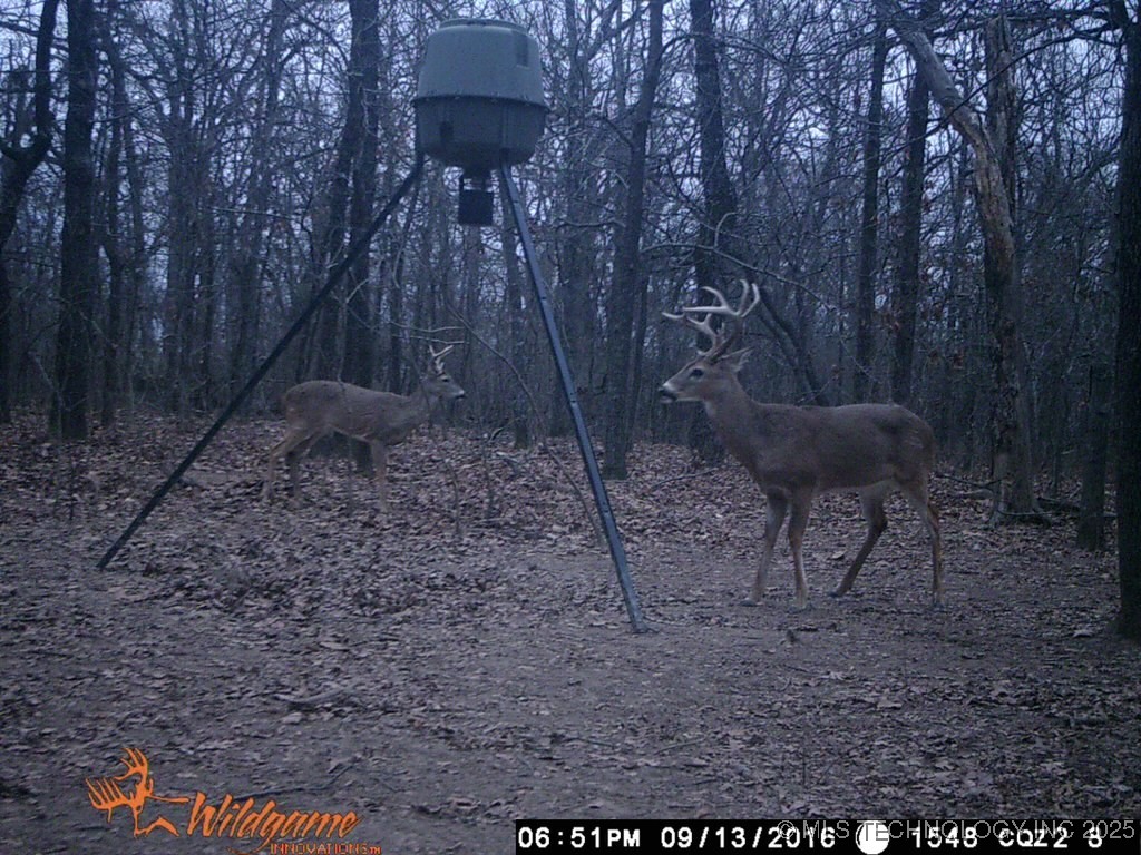 000 S 106th Street East Property Photo 15