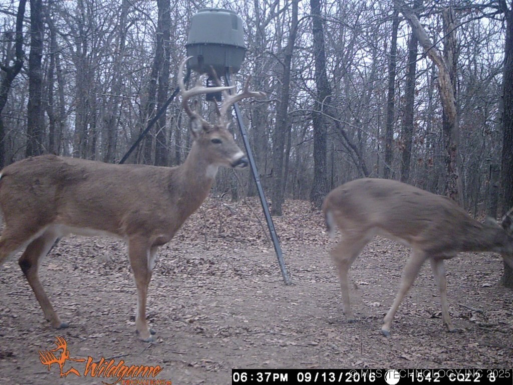 000 S 106th Street East Property Photo 16