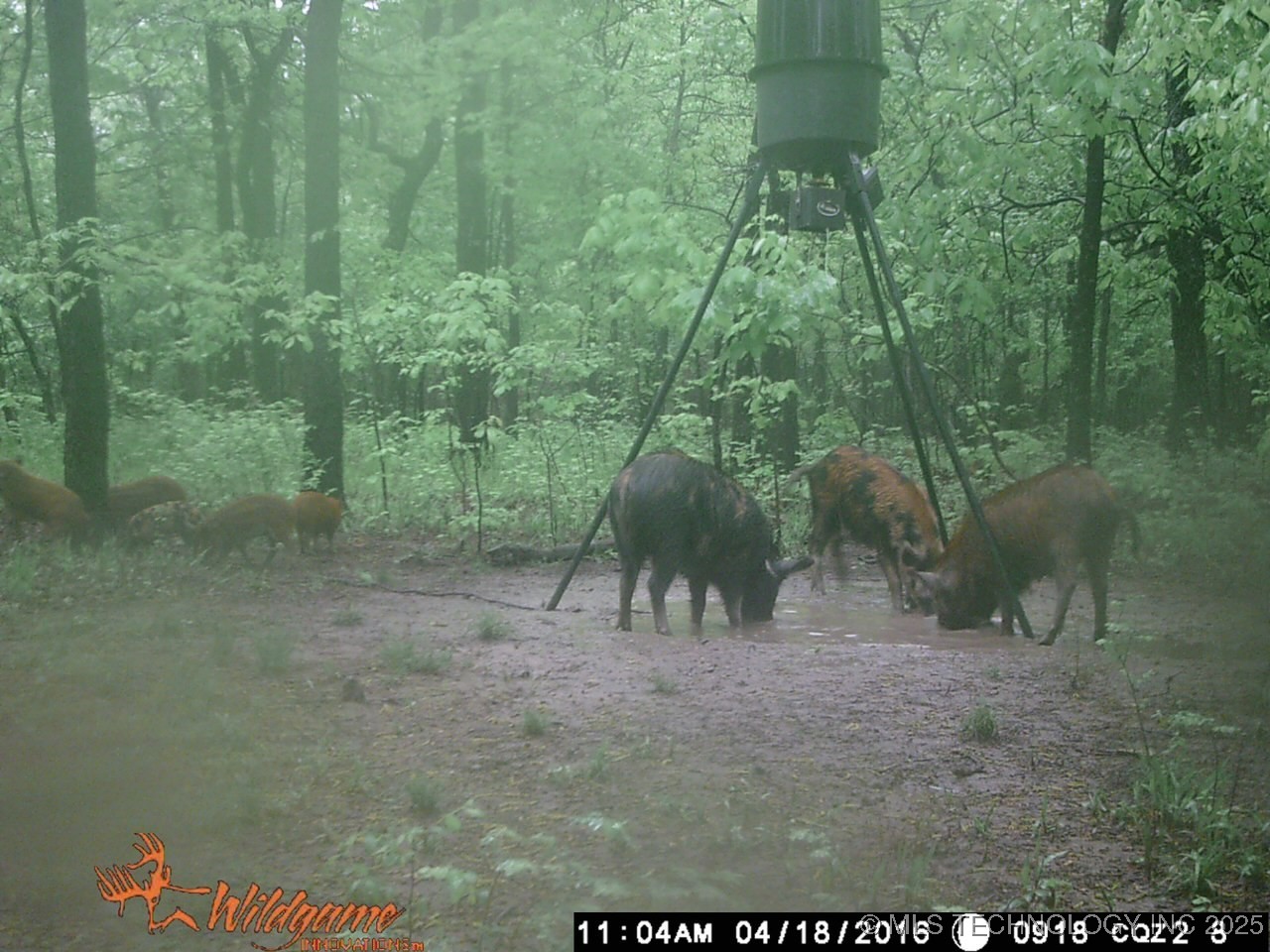 000 S 106th Street East Property Photo 17