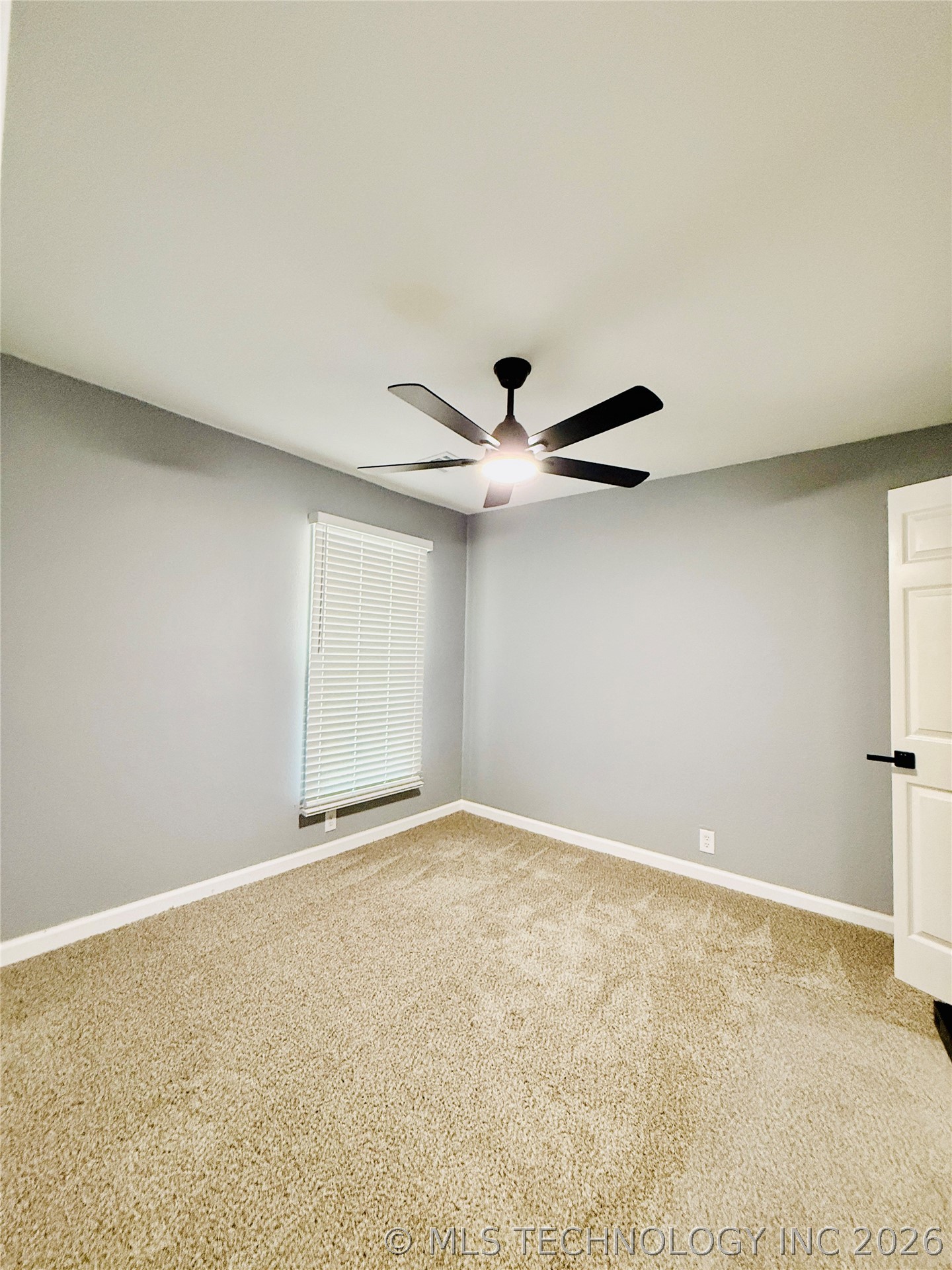 237 Hamilton Property Photo 40