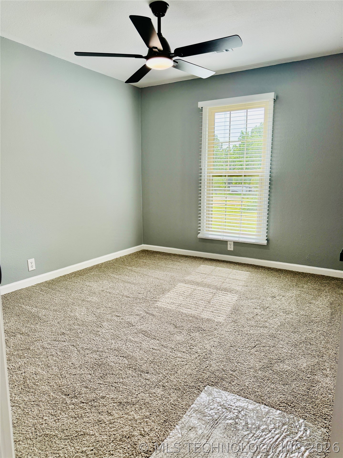 237 Hamilton Property Photo 41