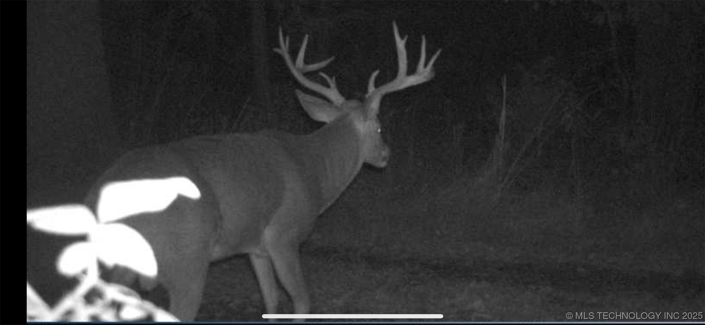 5077 N 384 Road Property Photo 1