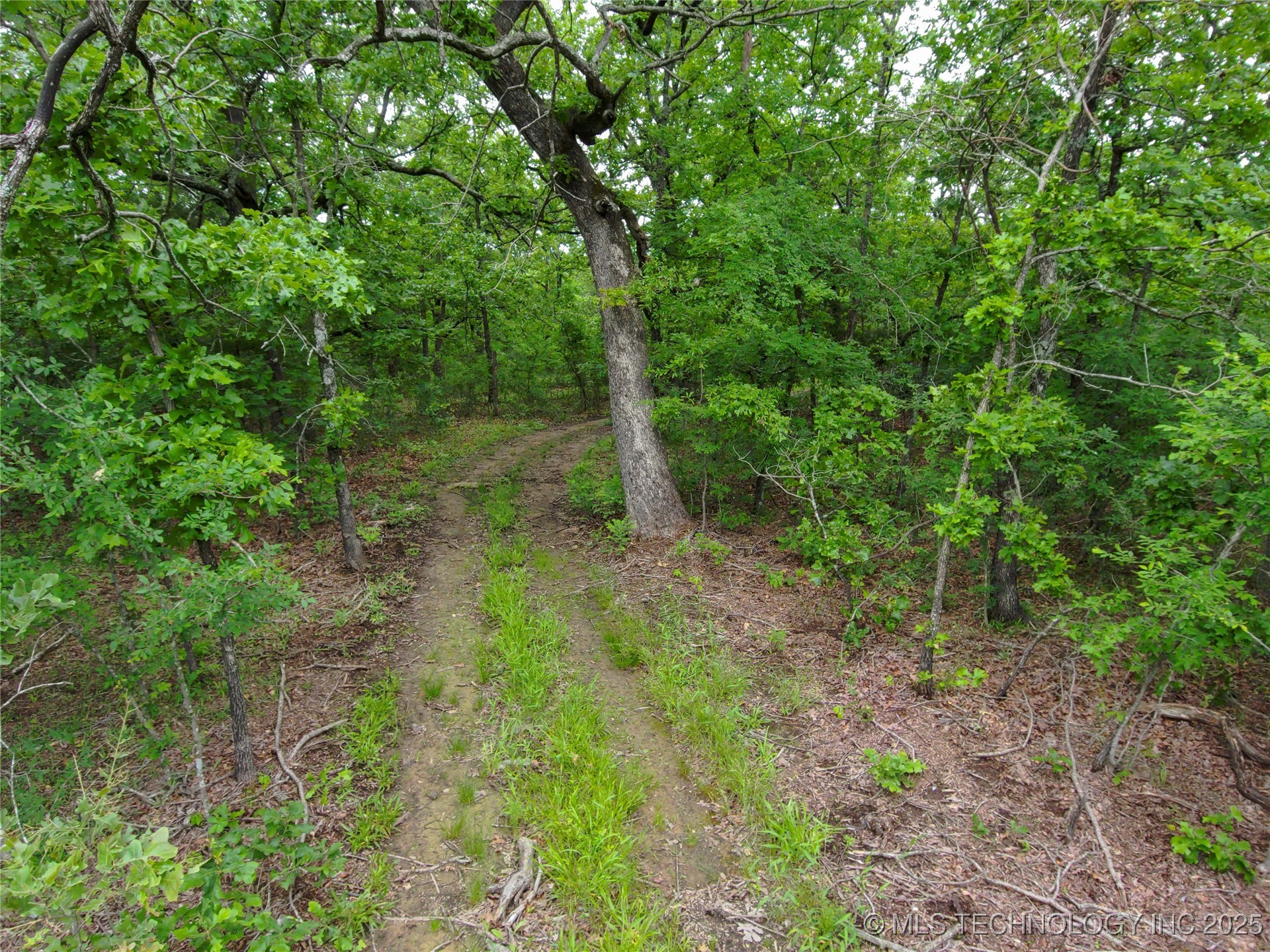 5077 N 384 Road Property Photo 45