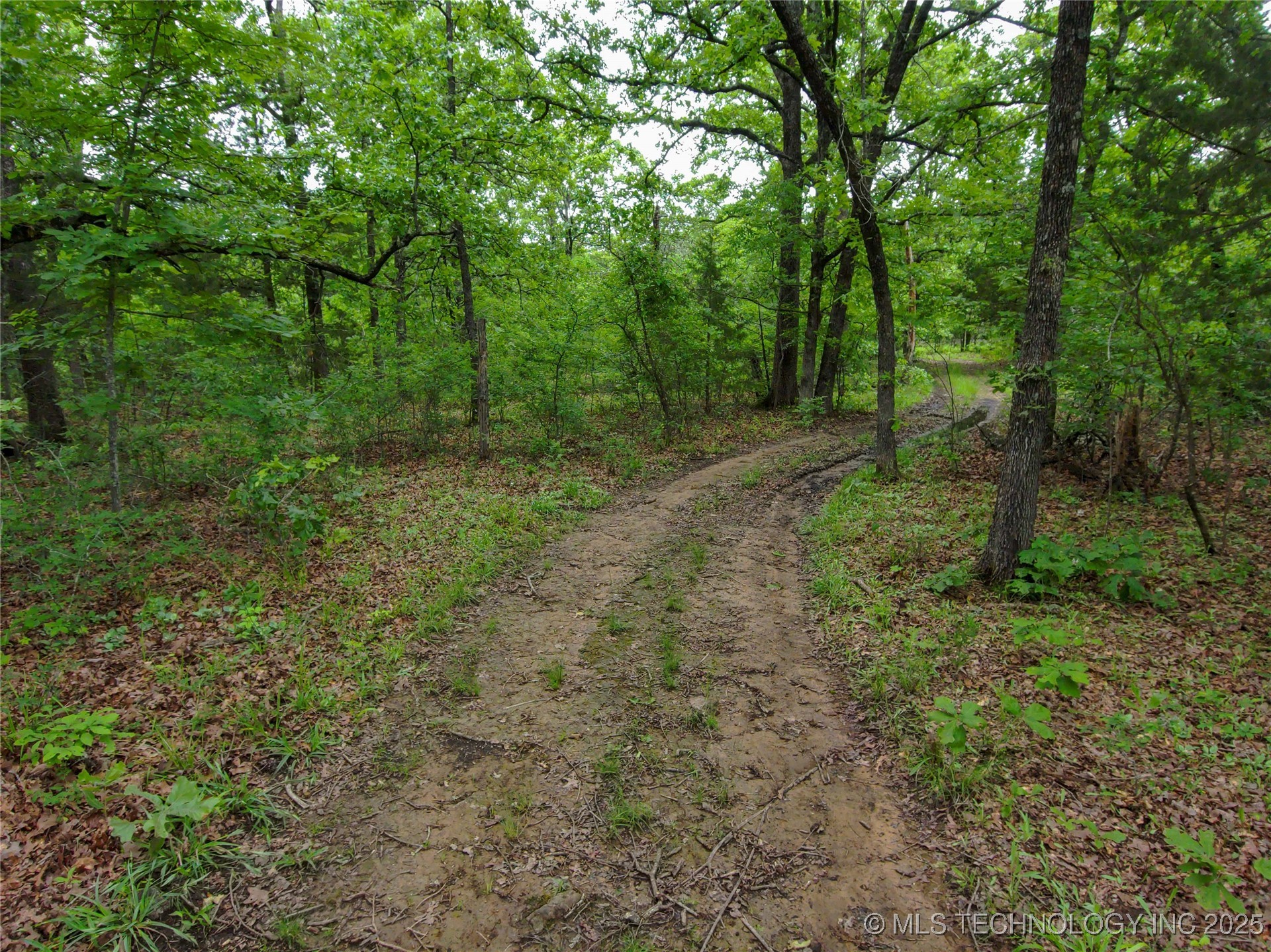 5077 N 384 Road Property Photo 46