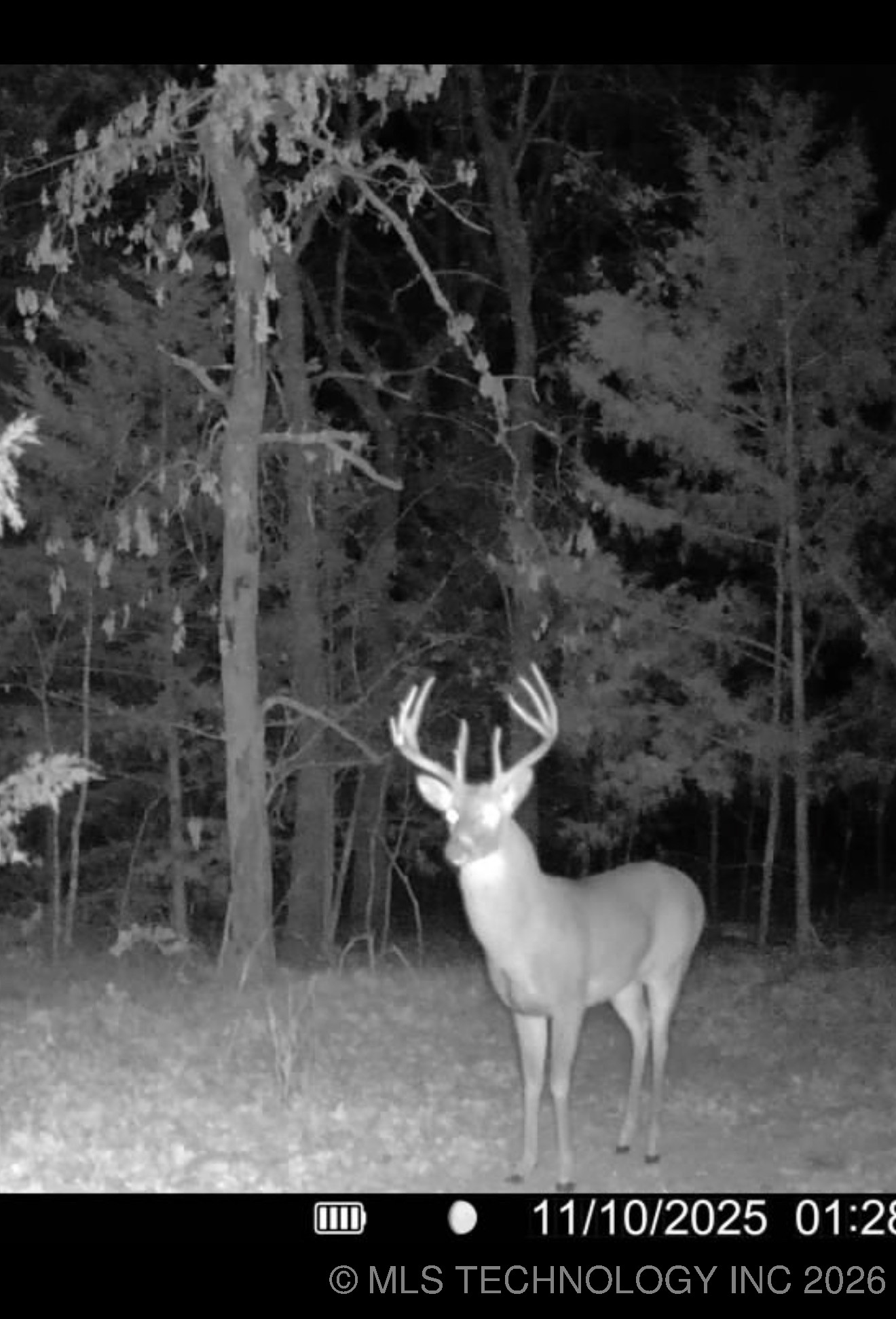 5077 N 384 Road Property Photo 60