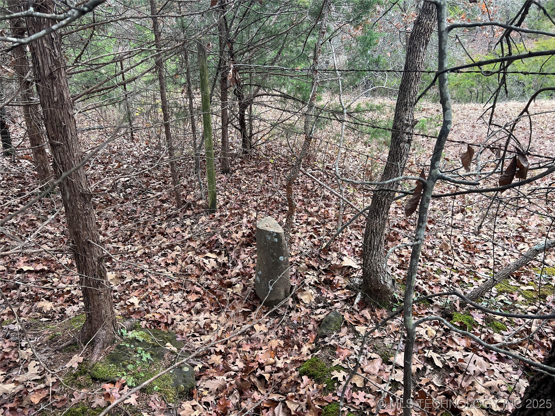 0000 Hwy 99 Highway Property Photo 4