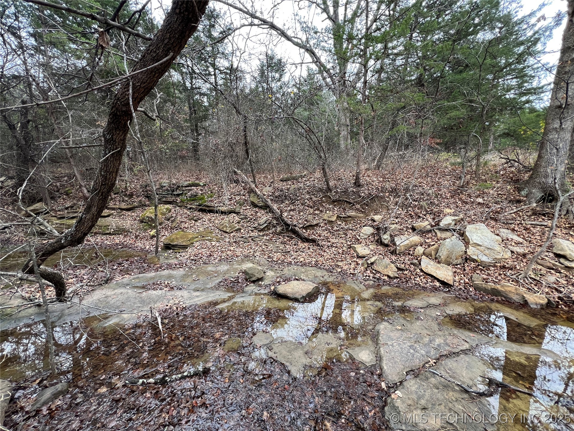 0000 Hwy 99 Highway Property Photo 7