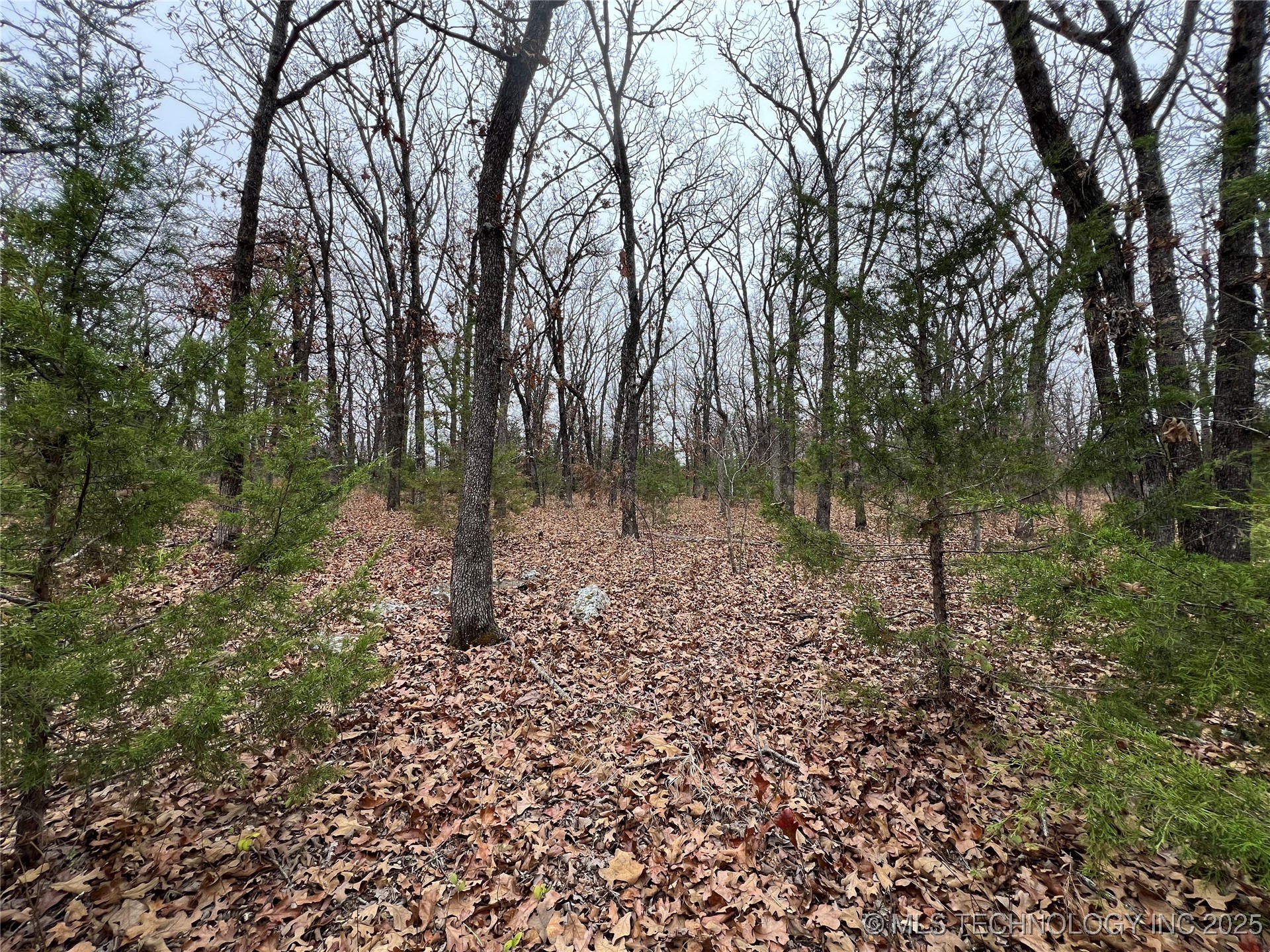 0000 Hwy 99 Highway Property Photo 10