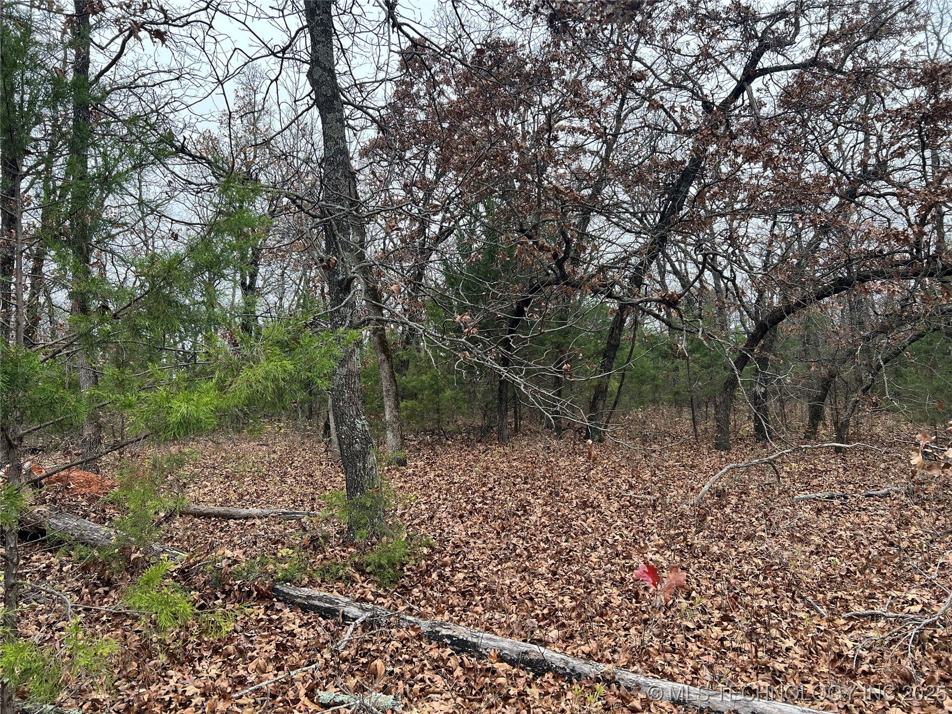 0000 Hwy 99 Highway Property Photo 12