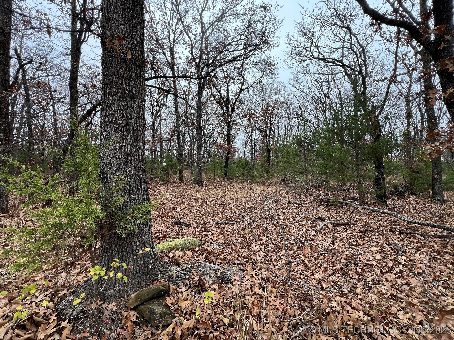 0000 Hwy 99 Highway Property Photo 13