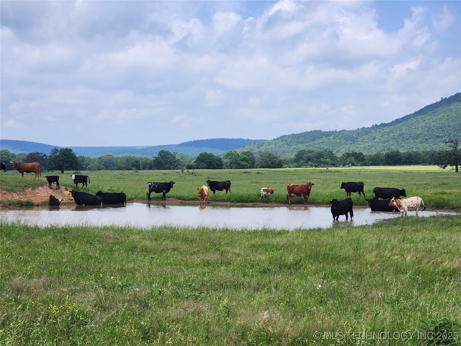 8014 Se Hwy 63 Property Photo 1