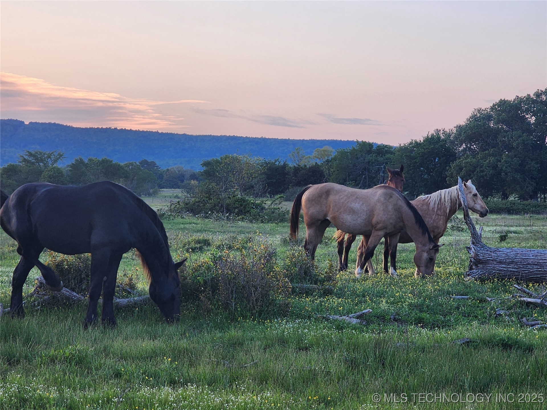 8014 Se Hwy 63 Property Photo 4